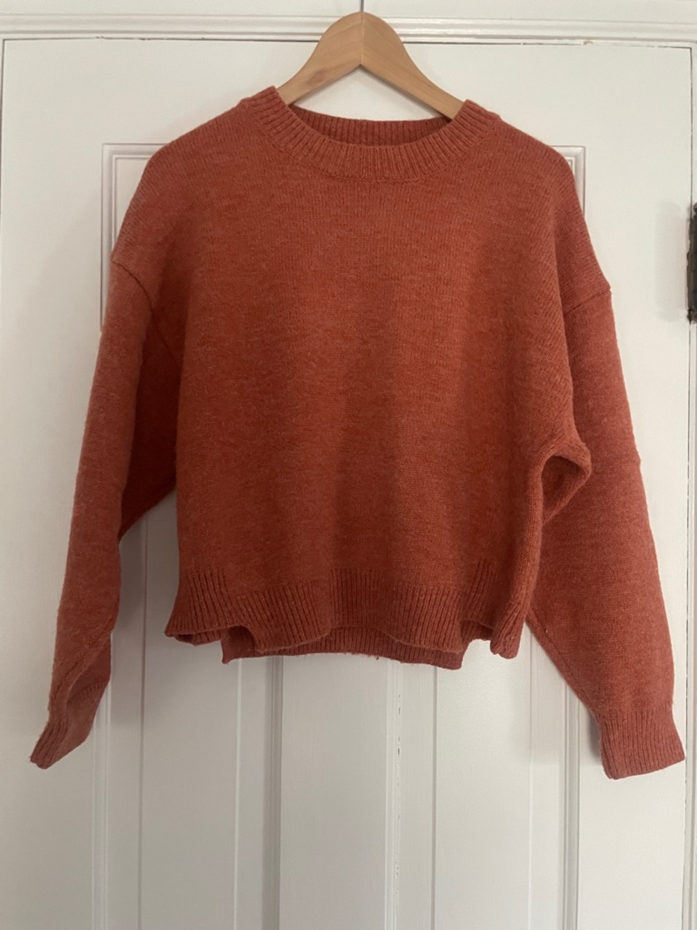 Cozy Women's Crewneck Sweater in Burnt Orange